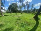 Land for Sale in Kurunegala 15.6 Perches