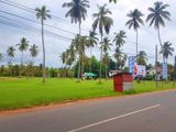 Land For Sale In Negombo - SPL233