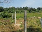 Land for Sale in Pannipitiya