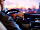 Light Vehicle Driver
