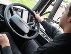 Light vehicle driver