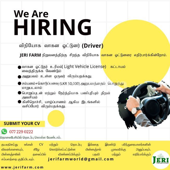 d348b02f-52f8-49d6-81a9-50936eab0947