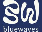 Local Manager - Blue Waves Surf House