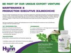 MAINTENANCE & PRODUCTION EXECUTIVE (KILINOCHCHI)