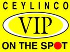 Marketing Executive