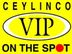 Marketing Executive