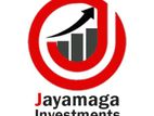 Marketing Executive