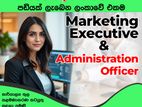 Marketing Executive
