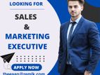 Marketing Executive (Male / Female)