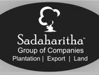 Marketing Executive ( Male / Female )