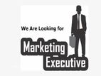 Marketing Executive