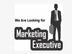 Marketing Executive