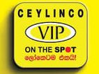 Marketing Executive