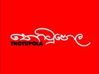 Marketing Officer