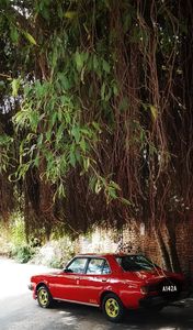 Mitsubishi Lancer Tubelight 1978 for Sale