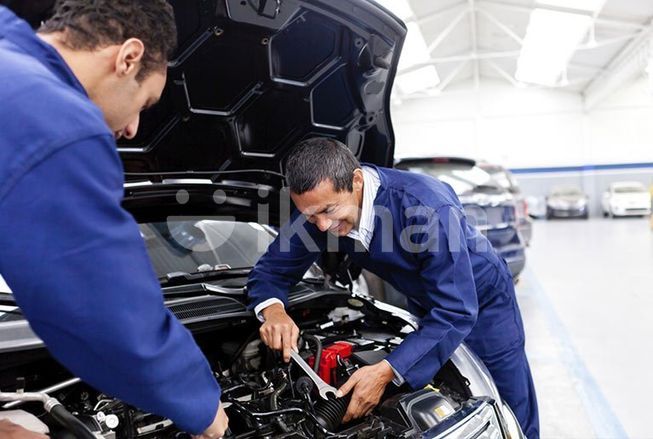 ca81ee2f-73bf-4a30-ae09-308032aa6a77