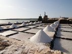 Mover Bulk Carrier Drivers