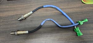 Micro Panda Cross New Oxygen Sensor for Sale