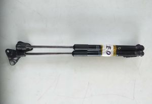 Nissan Leaf Azc0 Dicky Shocks for Sale