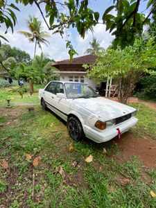 Nissan Sunny 1989 for Sale