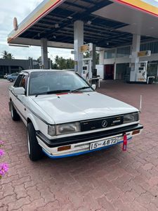 Nissan Sunny Trade 1988 for Sale