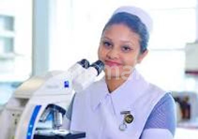 f3bb4788-79de-419d-9df0-33471c131507