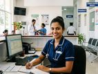 Nurse - මීගමුව