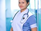 Nurses - Jaffna