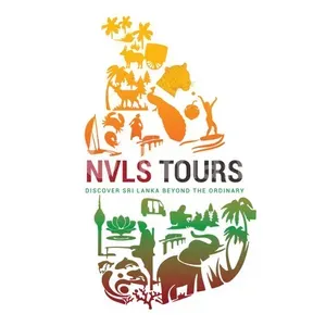NVLS TOURS logo