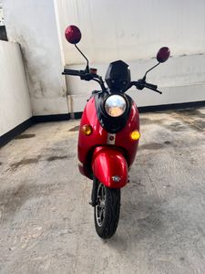 NWOW TK 10 2024 for Sale