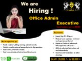 Office Admin Executive -ᴹᵃᵗᵃˡᵉ