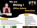 Office Admin Executive -ᴹᵃᵗᵃˡᵉ