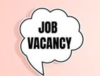 Office Assistant - Colombo 04