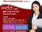 Office Assistant It Clerk - Male /Female Galle