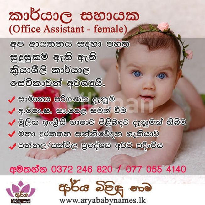 Office Assistant Vacancy Kuliyapitiya ikmanJOBS