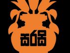Office Assistant (Male)