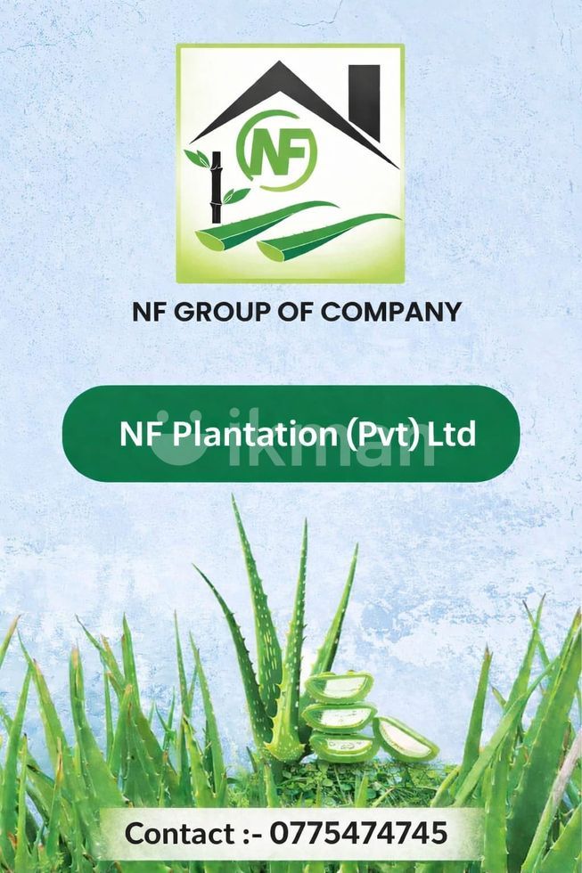 38830ebb-94b2-4e66-9fa9-a7ca2babf6c4