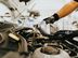 Oil Changing Technicians - Oman