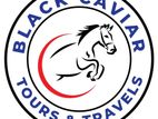 Outbound Tour Executive (Female)