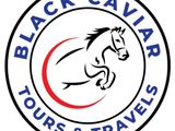 Outbound Tour Executive (Female)