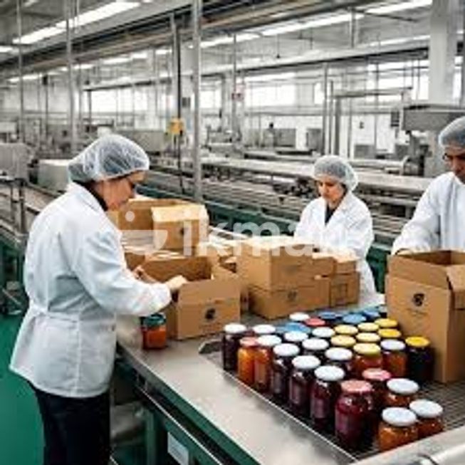 4f384603-944a-48eb-a9b2-1c0312d6bf5a