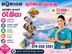 Packing Officer - Katunayake