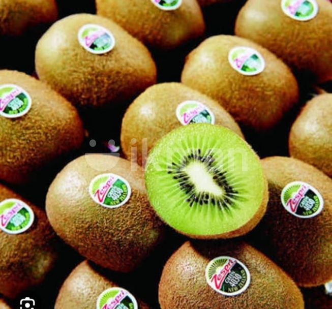 e37f2e33-910a-4882-8904-33633b2455dc