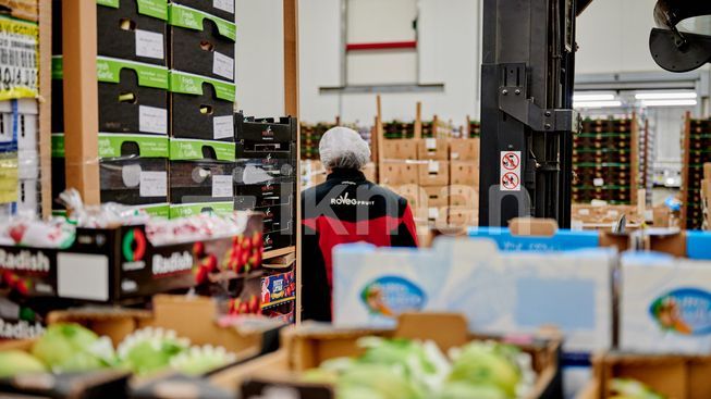 53a0f120-03cf-44e3-8b18-25a77d5f2976