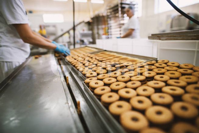 fcd4fb9a-d616-493d-8e77-35959e9b8bdb