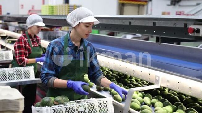 df927dd2-a1d7-42f3-ae00-bc3022e5515e