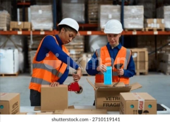 18355bdd-4750-4330-a890-fb15a1c5f32c