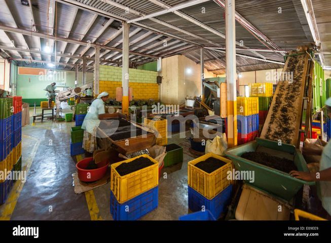 88c19798-5785-42e4-975d-4d84972ad42f