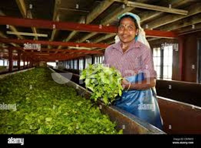 9e3076f0-52e5-4e56-b94b-658e961546f0