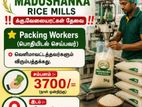 Packing Workers (பொதியிடல் செய்பவர்) -Male